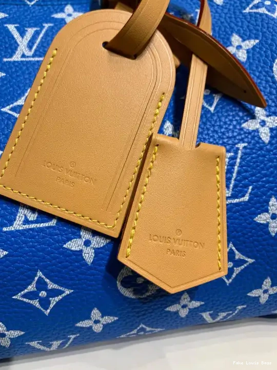 Fake Louis Bags Louis 25 Vuitton SPEEDY 0604